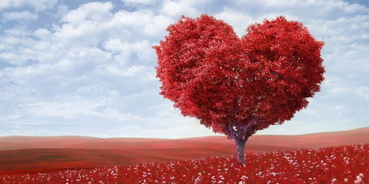 Sebelum Kita Bernikah – Bila Hati Ditusuk Cinta